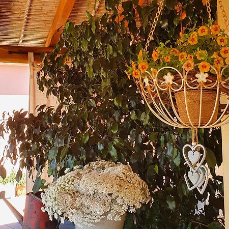 B&B La Vela Chia Dış mekan fotoğraf