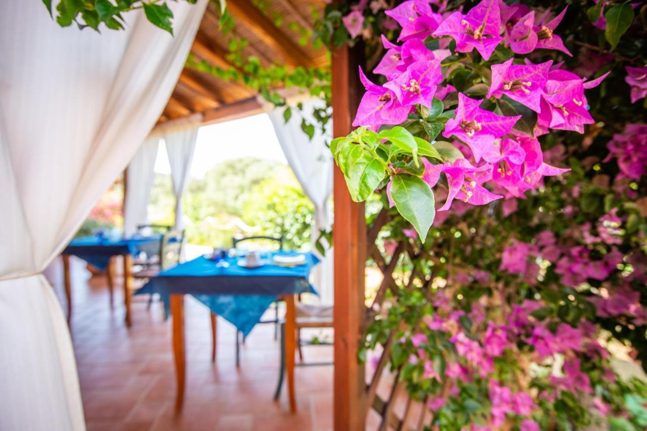 B&B La Vela Chia Dış mekan fotoğraf
