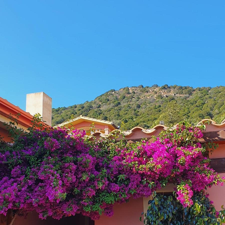 B&B La Vela Chia Dış mekan fotoğraf