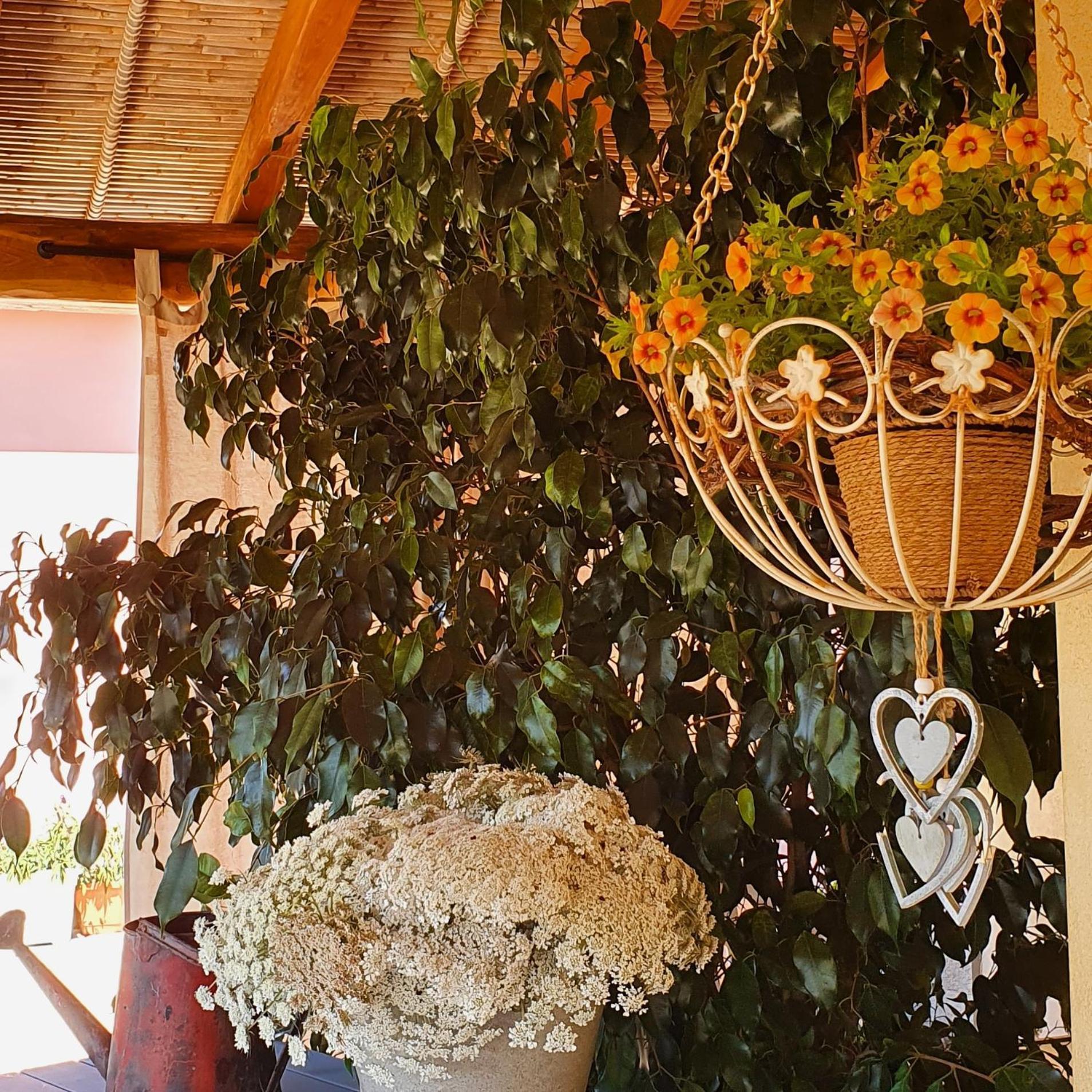 B&B La Vela Chia Dış mekan fotoğraf